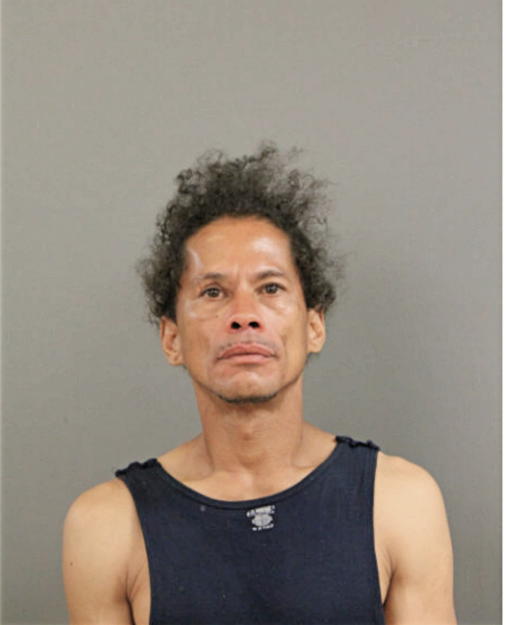 LUIS BERMEDEZ, Cook County, Illinois