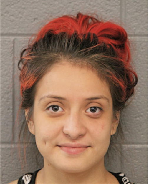 VIVIANA CORRAL, Cook County, Illinois