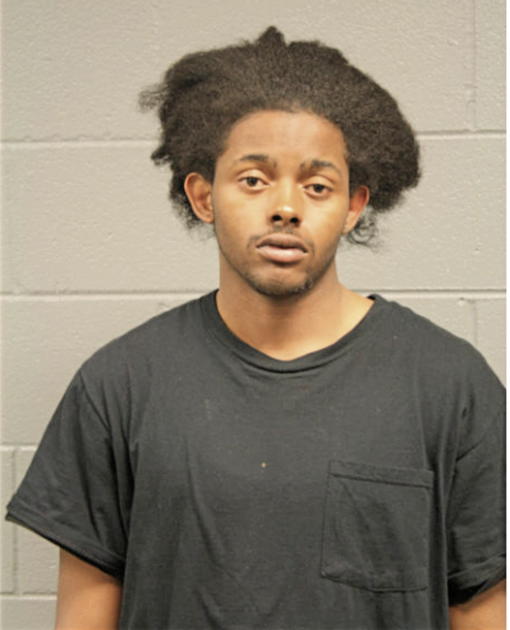 CLARENCE O DAVIS, Cook County, Illinois
