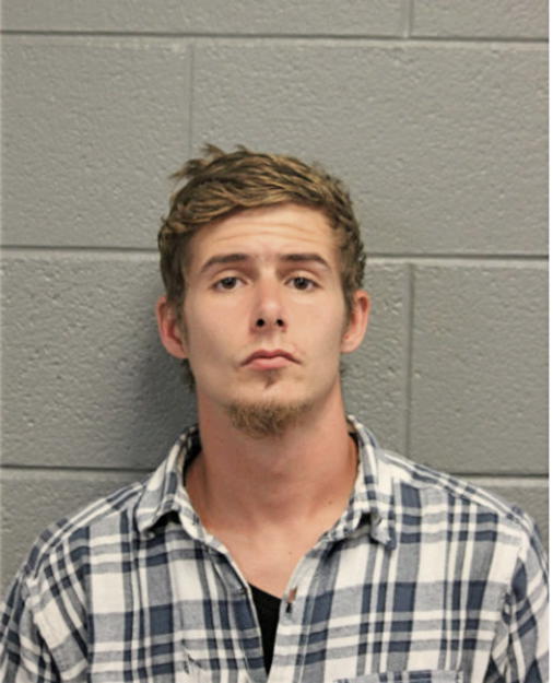 STEPHEN L DEXTER, Cook County, Illinois