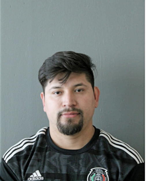 GERARDO I DIAZ LEAL PEREZ, Cook County, Illinois