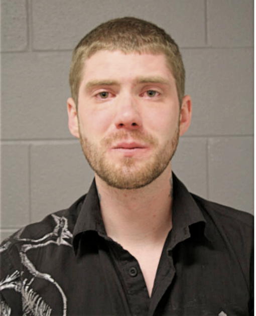 BRIAN T FLANNERY, Cook County, Illinois
