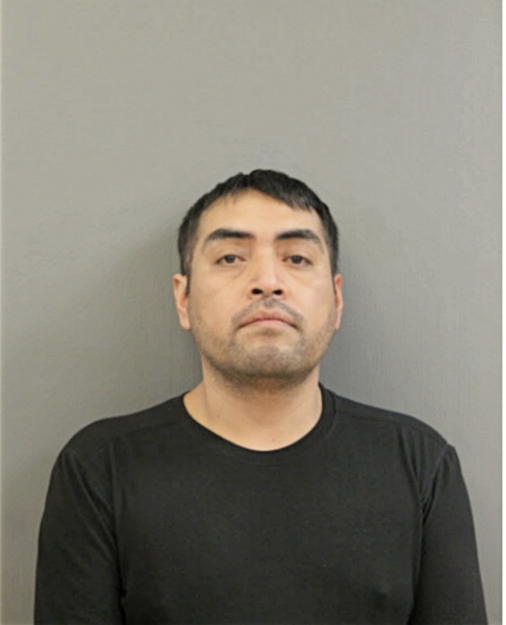 PEDRO G GOMEZ, Cook County, Illinois