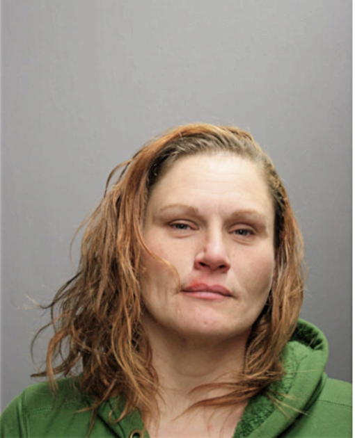 TANYA M HOBYL, Cook County, Illinois