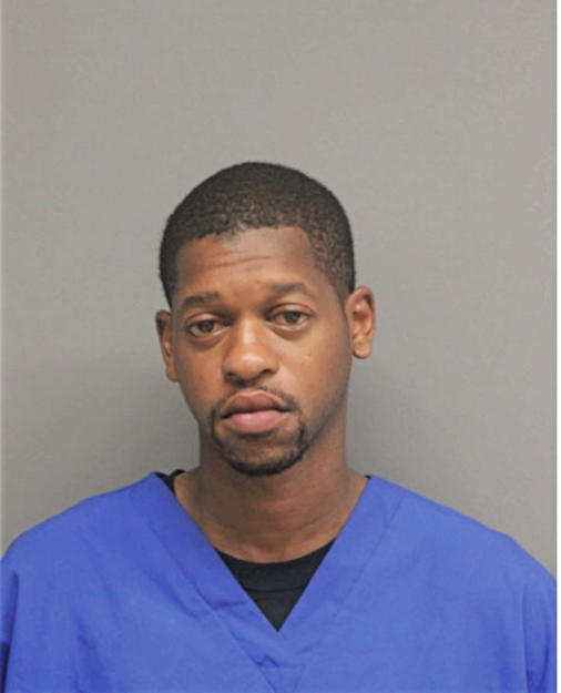 DAVID A JOHNSON, Cook County, Illinois