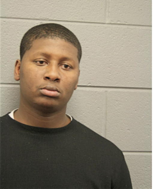 AARON NELSON, Cook County, Illinois
