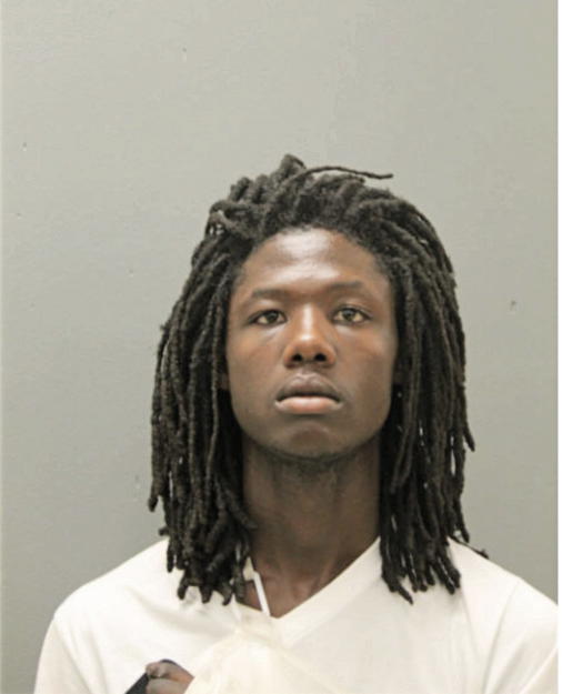 DEREK J NORMAN, Cook County, Illinois