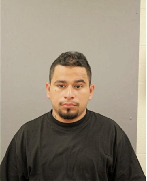 SAUL I OCAMPO, Cook County, Illinois