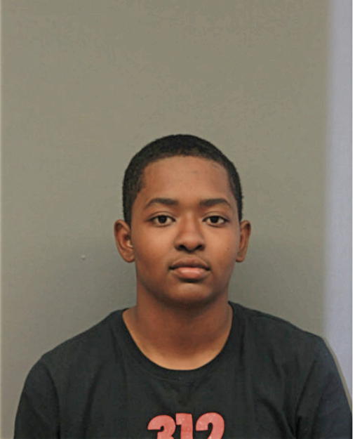 ANIA C RAMSEY, Cook County, Illinois