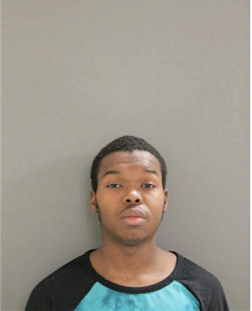 LORENZO J RILEY, Cook County, Illinois