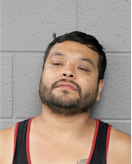 GUSTAVO N RODRIGUEZ, Cook County, Illinois