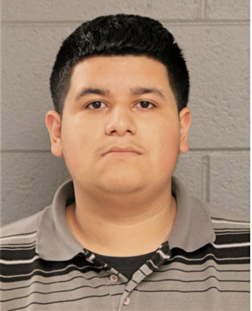 DANNY SALAS, Cook County, Illinois