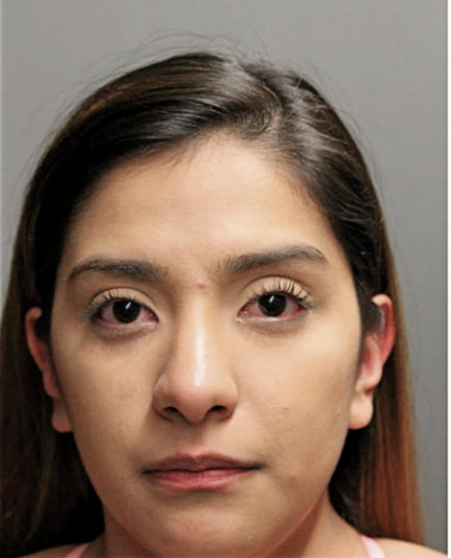LORENA VILLEGAS, Cook County, Illinois