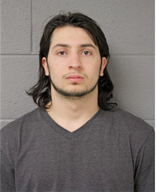 JAMES D YOUNG, Cook County, Illinois