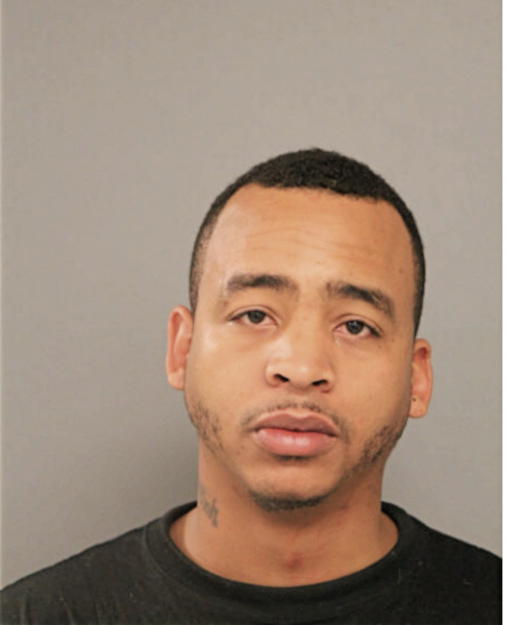 WILLIAM L YOUNG, Cook County, Illinois