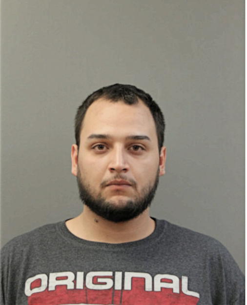 LUIS C ABUNDES, Cook County, Illinois