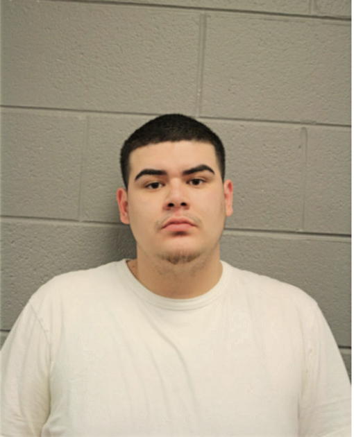 ALEX ALEJANDRE, Cook County, Illinois