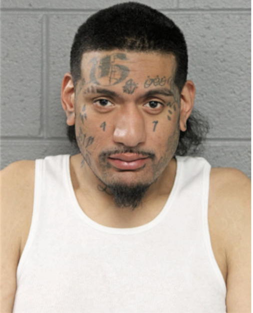 HUGO ANDERSON, Cook County, Illinois