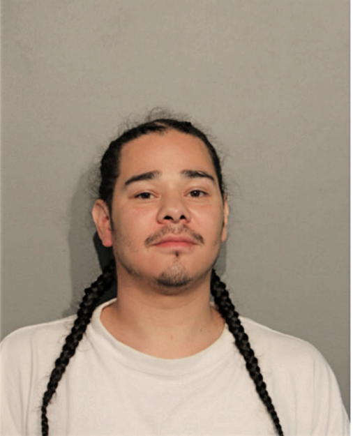 TRINI J BOTTELO, Cook County, Illinois