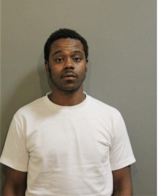 DAVID D BROWN, Cook County, Illinois