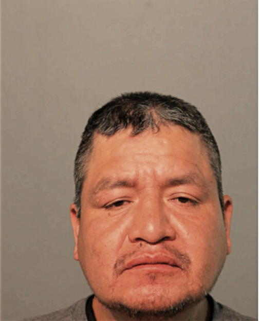 FLAVIO GUACHICHULLCA, Cook County, Illinois