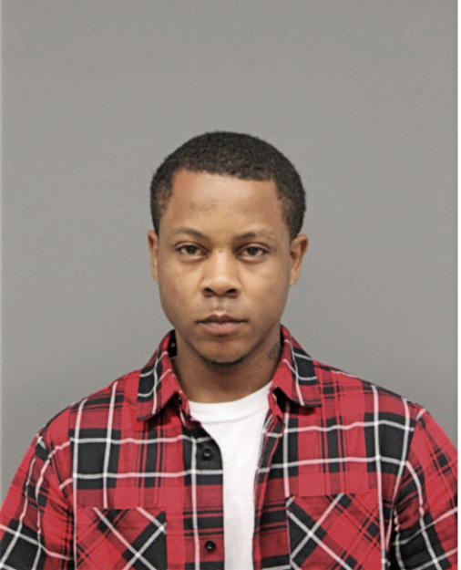 JOSHUA T HOWARD, Cook County, Illinois