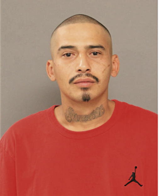 GERARDO DE JESUS AVILA, Cook County, Illinois