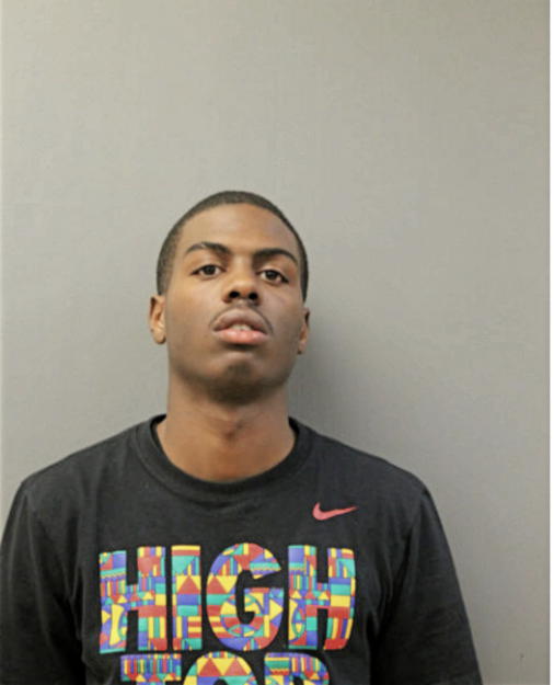 BRIAN JOHNSON, Cook County, Illinois