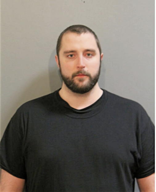 JOHN STEVEN JOHNSON, Cook County, Illinois