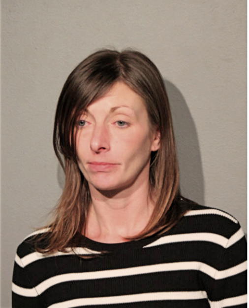 ELIZABETH L KLIMEK, Cook County, Illinois