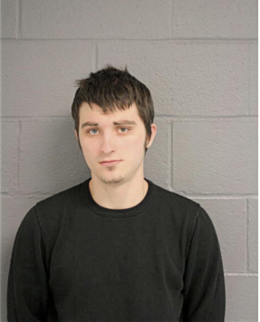 LAWRENCE M LEVANDOWSKI, Cook County, Illinois