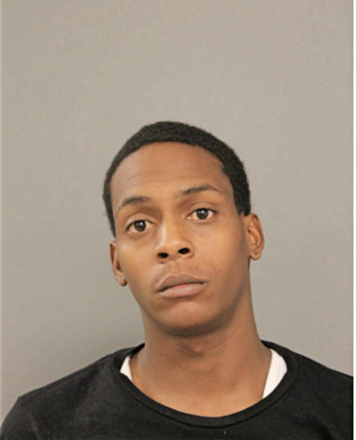 DAVID S LOLLES, Cook County, Illinois