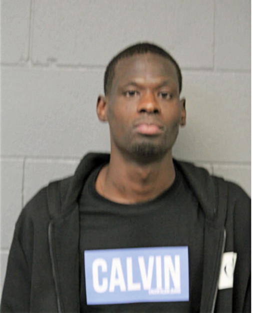 BRANDON M HAMILTON, Cook County, Illinois