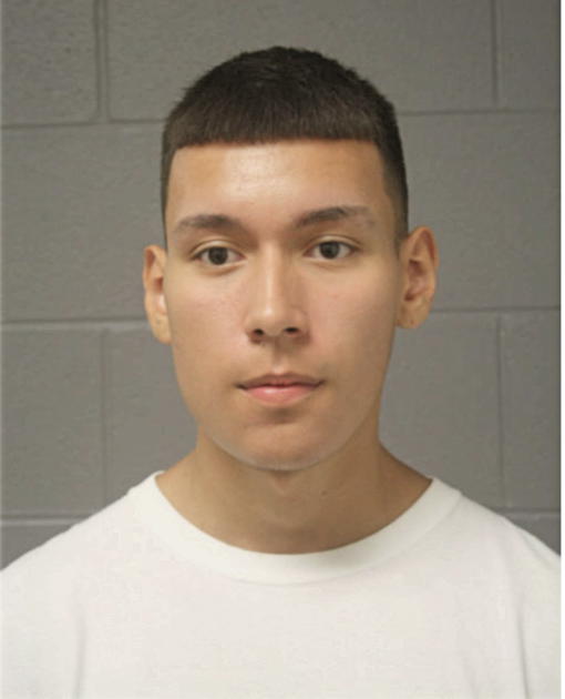 MIGUEL MEZA, Cook County, Illinois