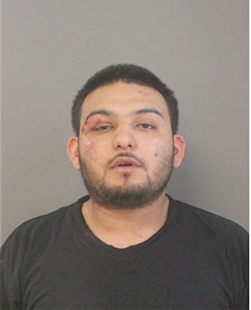 ELIGIO E MONREAL, Cook County, Illinois