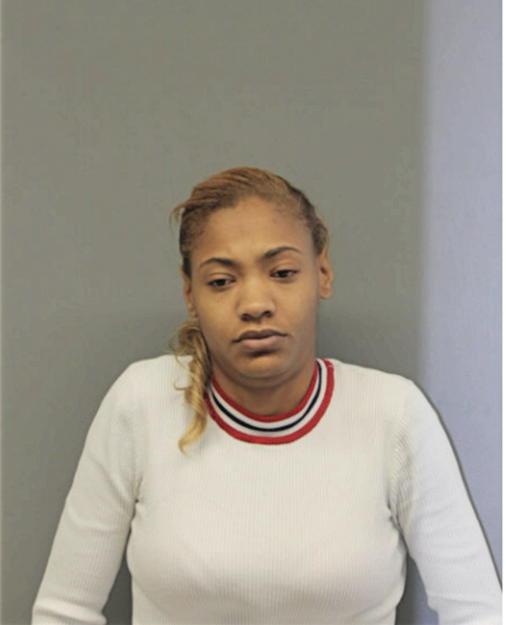 LISA M NELSON, Cook County, Illinois