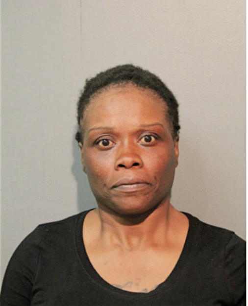 DONNITA S NOLTON, Cook County, Illinois