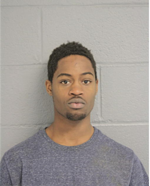 DEMARIAE J OWENS, Cook County, Illinois