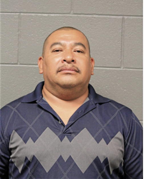 MAURICIO A RAMIREZ, Cook County, Illinois