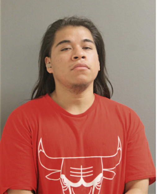 DELFINO RODRIGUEZ, Cook County, Illinois