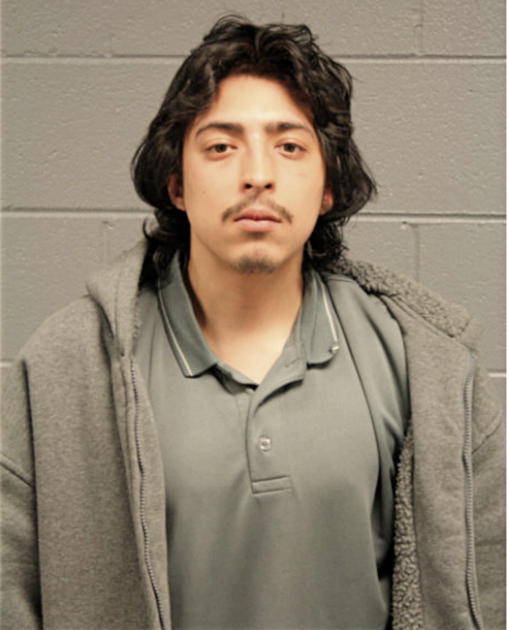 ARMIRO VARGAS, Cook County, Illinois