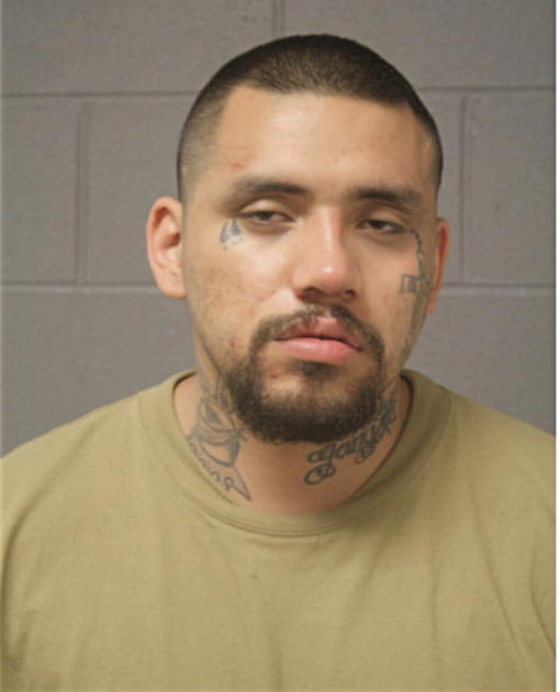 JOSEPH C VELA, Cook County, Illinois