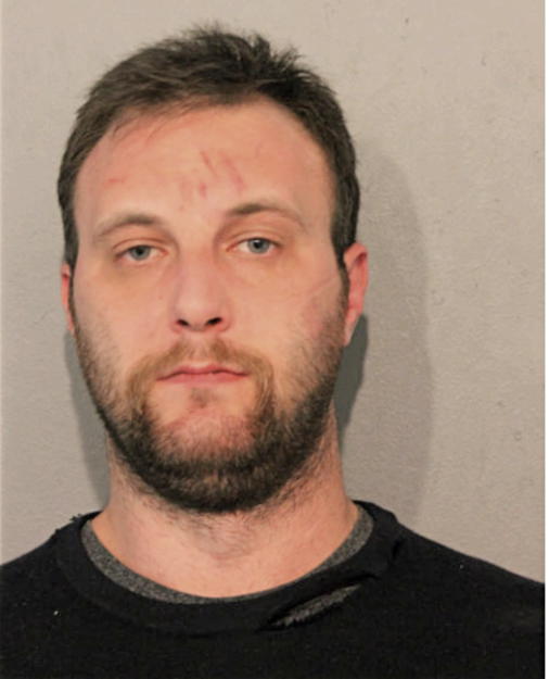 JANKO BLAGOJEVIC, Cook County, Illinois