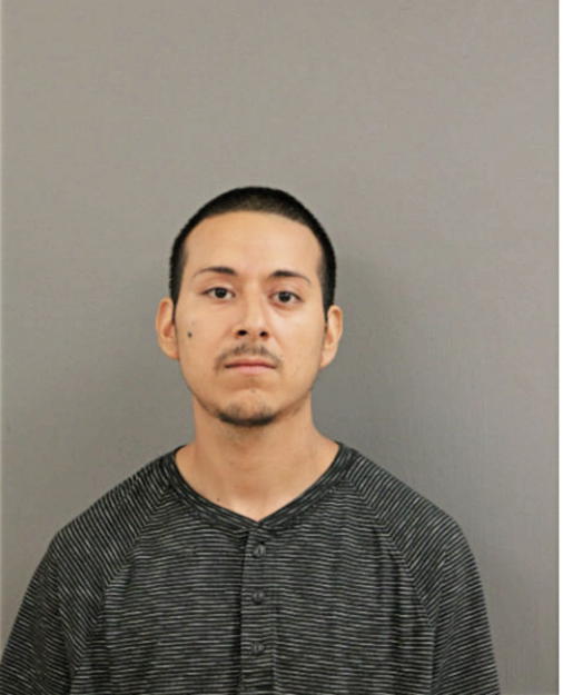 JUAN B CRUZ, Cook County, Illinois