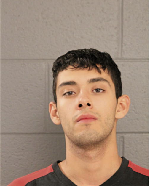 ARMAND S DIAZ, Cook County, Illinois