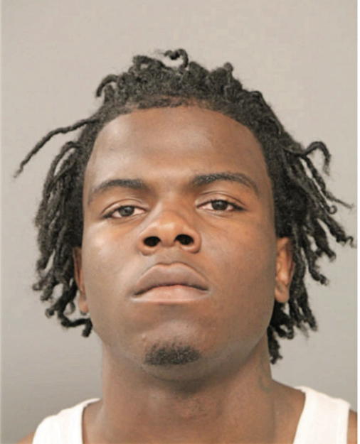 TERRANCE A ELANE, Cook County, Illinois