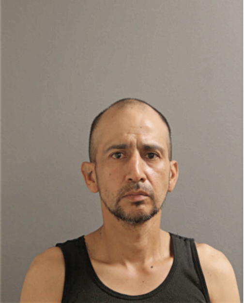 JUAN R GARCIA, Cook County, Illinois