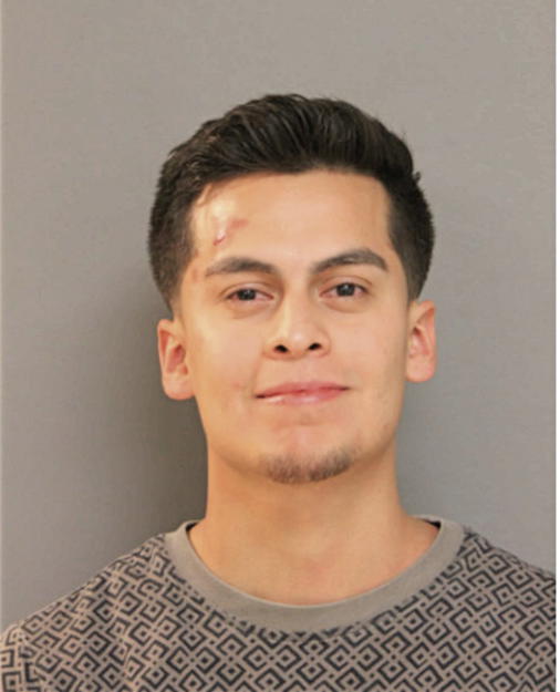 MIGUEL A GARCIA, Cook County, Illinois