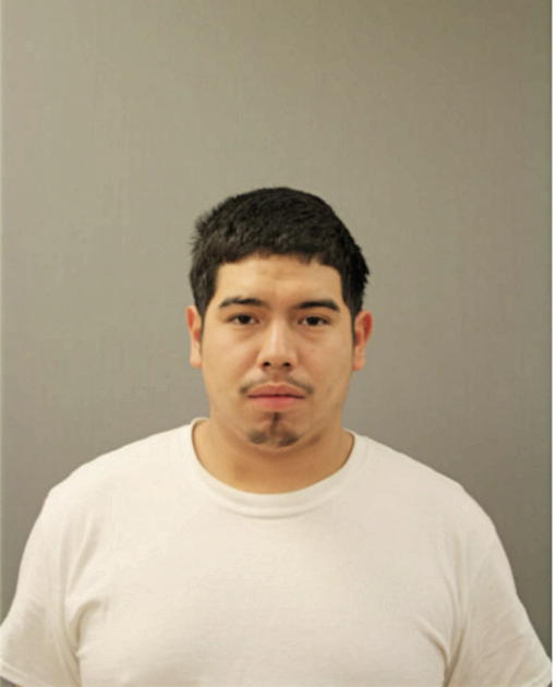DANIEL R GUERRA, Cook County, Illinois
