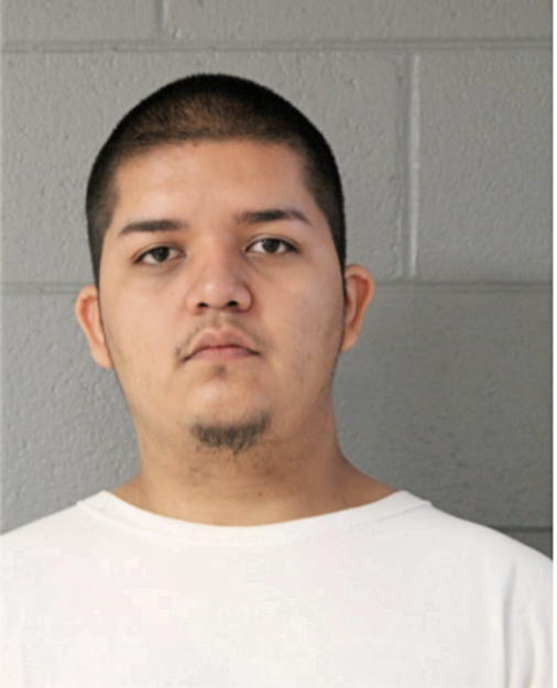 CHRISTIAN HERNANDEZ, Cook County, Illinois